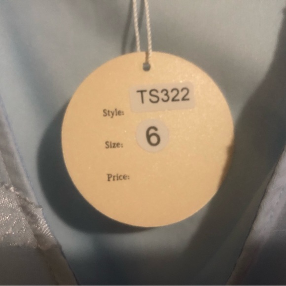 NWT TwoSisters The Label size 2 US XS Light Blue Chiffon dress with liner slip - Picture 5 of 13
